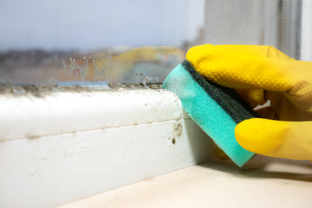 Best Mold Remediation for Schools in Terre Hill, PA