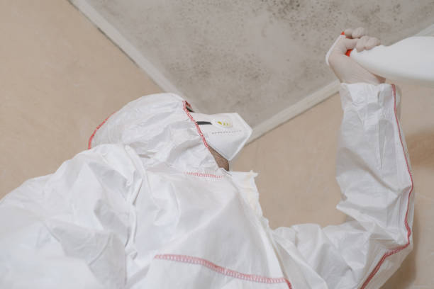 Best Preventive Mold Services in Terre Hill, PA